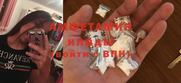 дживик Инта