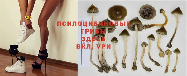 дживик Инта
