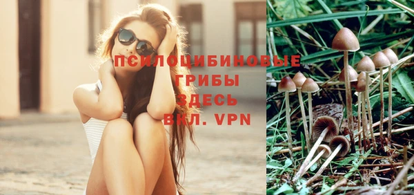 альфа пвп Каменка