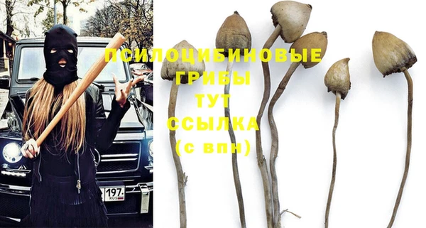 дживик Инта
