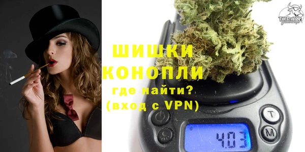 дживик Инта