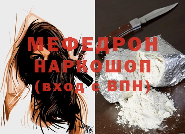 дживик Инта