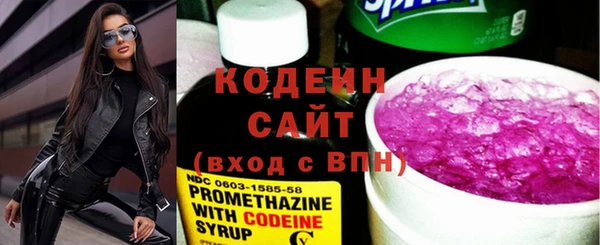 дживик Инта