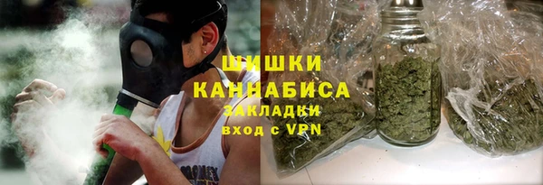 дживик Инта